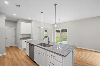 223 Sage Woods Way, Dallas, GA 30132 - Photo 12