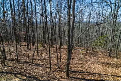 Lot 35 Heatherwood Way, Talking Rock, GA 30175 - Photo 16