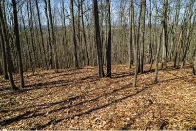 Lot 35 Heatherwood Way, Talking Rock, GA 30175 - Photo 12