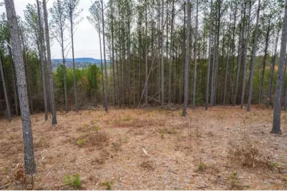 Lt 112 Blalock Mountain Road, Talking Rock, GA 30175 - Photo 22