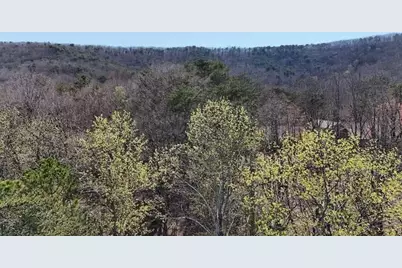 125 Grey Eagle Drive, Waleska, GA 30183 - Photo 4