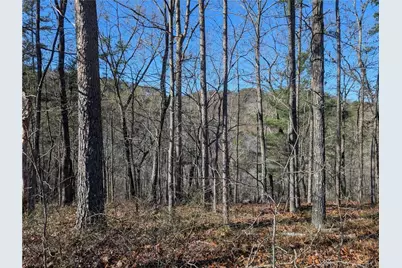 1400 Foxhound Trail NE, Ranger, GA 30734 - Photo 1