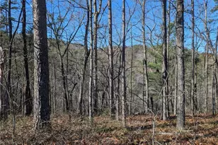 1400 Foxhound Trail NE, Ranger, GA 30734 - Photo 1