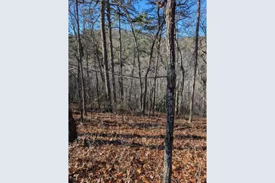 1400 Foxhound Trail NE, Ranger, GA 30734 - Photo 6