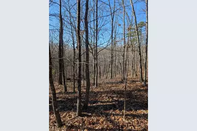 1422 Hanna Drive, Ranger, GA 30734 - Photo 4