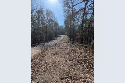 1422 Hanna Drive, Ranger, GA 30734 - Photo 6