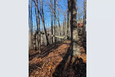 234 Stirratt Road, Ranger, GA 30734 - Photo 4