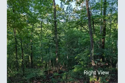 772 Naomi Court, Ranger, GA 30734 - Photo 4