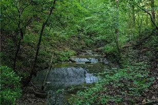 772 Naomi Ct, Ranger, GA 30734 - Photo 1