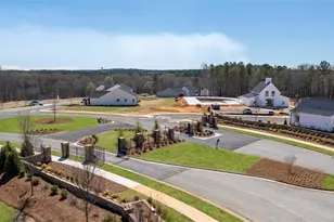 1060 Amerson st, Buckhead, GA 30625 - Photo 8