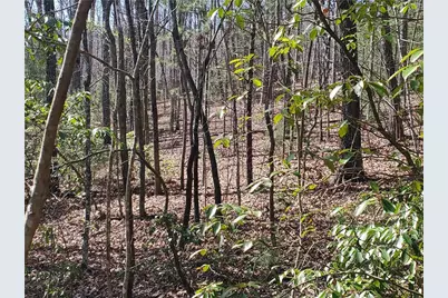 0 Trails End Summit, Ellijay, GA 30540 - Photo 6