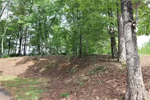 1034 Ainu Ct, Dahlonega, GA 30533 - Photo 14