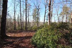 1034 Ainu Ct, Dahlonega, GA 30533 - Photo 12