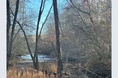 149 River Cove, Carrollton, GA 30117 - Photo 48