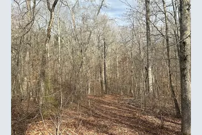 149 River Cove, Carrollton, GA 30117 - Photo 34