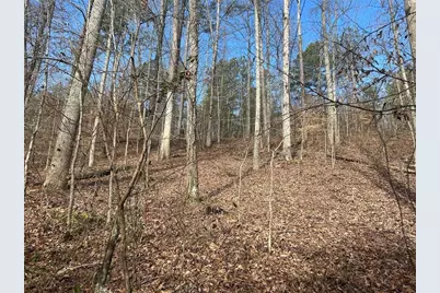 142 Riversong Road, Carrollton, GA 30117 - Photo 66