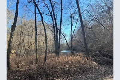 142 Riversong Road, Carrollton, GA 30117 - Photo 46