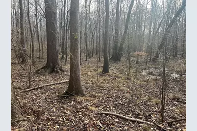 142 Riversong Road, Carrollton, GA 30117 - Photo 64