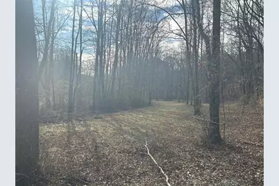 142 Riversong Road, Carrollton, GA 30117 - Photo 50