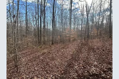 142 Riversong Road, Carrollton, GA 30117 - Photo 32