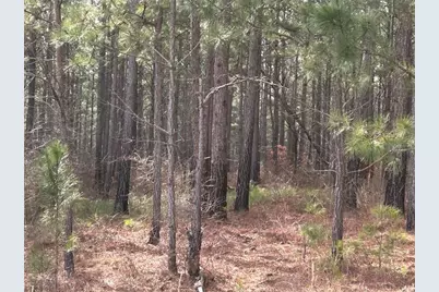 142 Riversong Road, Carrollton, GA 30117 - Photo 16