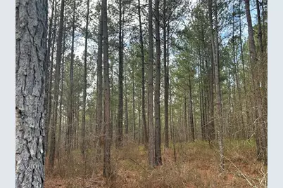 142 Riversong Road, Carrollton, GA 30117 - Photo 18