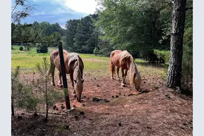 3545 Liberty Road, Villa Rica, GA 30180 - Photo 76