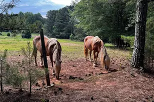 3545 Liberty Rd, Villa Rica, GA 30180 - Photo 76