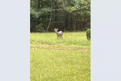 3545 Liberty Road, Villa Rica, GA 30180 - Photo 78