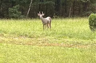 3545 Liberty Rd, Villa Rica, GA 30180 - Photo 78