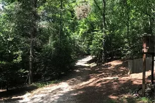 166 Mountain Top Dr, Blue Ridge, GA 30513 - Photo 4