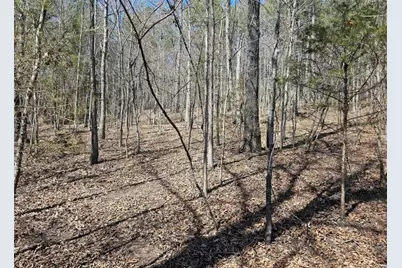 0 Prior Station Road, Cedartown, GA 30125 - Photo 10