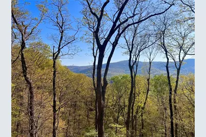 190 S View Trail, Jasper, GA 30143 - Photo 4