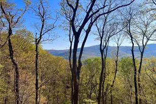 190 S View Trail, Jasper, GA 30143 - Photo 4