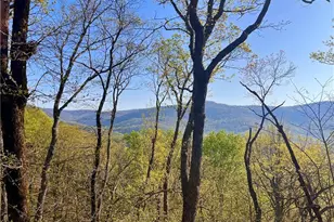 190 S View Trail, Jasper, GA 30143 - Photo 12