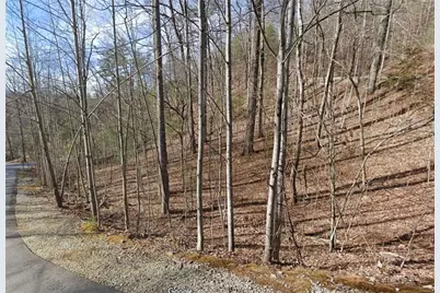 0 Brown Hawk Drive, Clayton, GA 30525 - Photo 1