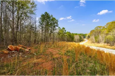 8385 Serenbe Road, Chattahoochee Hills, GA 30268 - Photo 6