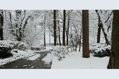 1387 Springdale Road, Gainesville, GA 30501 - Photo 48