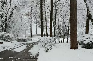 1387 Springdale Rd, Gainesville, GA 30501 - Photo 48