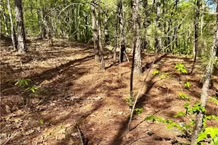 999 Grassdale Rd, Cartersville, GA 30121 - Photo 48