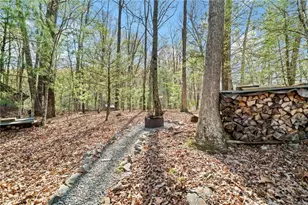 301 Laurel Creek Road, Blue Ridge, GA 30513 - Photo 24