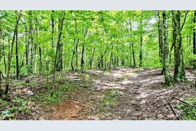 47 Ac Pine Crest, Jasper, GA 30143 - Photo 8