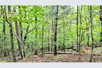 47 Ac Pine Crest, Jasper, GA 30143 - Photo 10