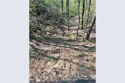 450 Wild Turkey Bluff, Jasper, GA 30143 - Photo 8