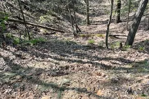 450 Wild Turkey Bluff, Jasper, GA 30143 - Photo 8