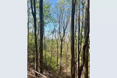 450 Wild Turkey Bluff, Jasper, GA 30143 - Photo 2