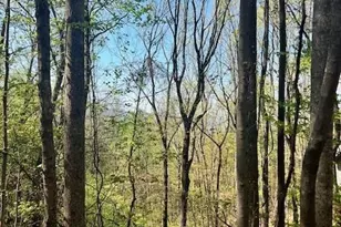 450 Wild Turkey Bluff, Jasper, GA 30143 - Photo 2