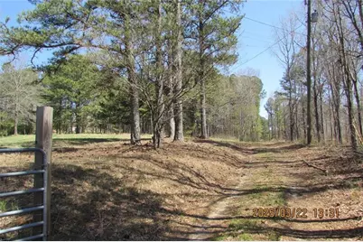 8740 Atlanta Newnan Road, Chattahoochee Hills, GA 30268 - Photo 2