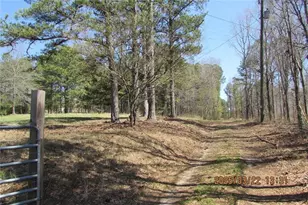 8740 Atlanta Newnan Rd, Chattahoochee Hills, GA 30268 - Photo 2