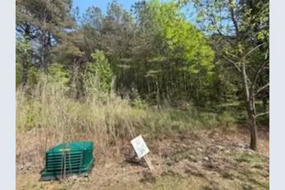 0 Eastside Drive, Ellijay, GA 30536 - Photo 8